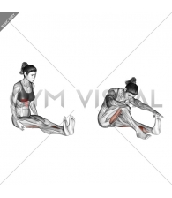 Seated Straight Leg Calf Stretch