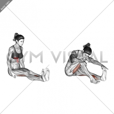 Seated Straight Leg Calf Stretch