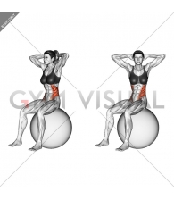 Seated Twist (on stability ball)