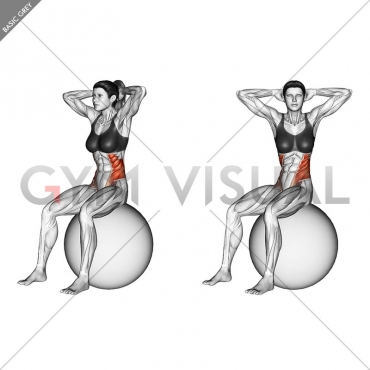 Seated Twist (on stability ball)