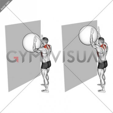 Exercise Ball Serratus Wall Slide