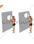 Exercise Ball Serratus Wall Slide