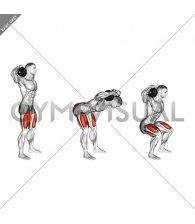 Dumbbell Good Morning Squat