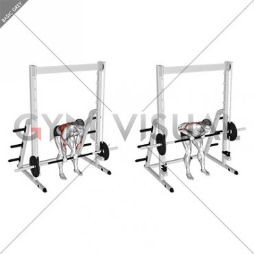 Smith Bent Over Narrow Pronated Grip Row