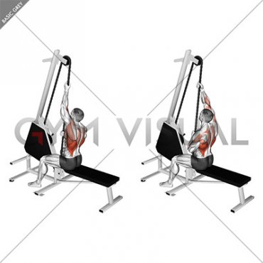 Lever Multy Mode Rope Lat Pulldown