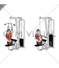 Cable Reverse Grip Pulldown