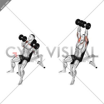 Dumbbell Incline Shoulders Press