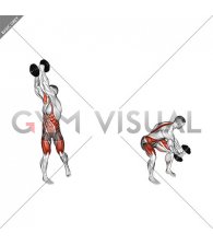 Dumbbell Wood Chop Squat