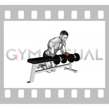 Dumbbell Over Bench Revers Wrist Curl