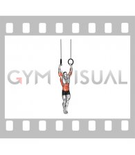 Muscle-up