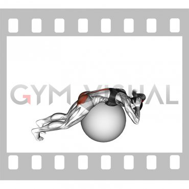 Exercise Ball Back Extension With Hands Behind Head (female)