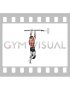 Weighted Chin-up (male)