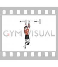 Weighted Chin-up (male)
