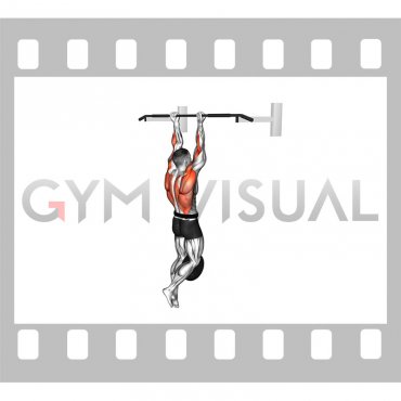 Weighted Chin-up (male)