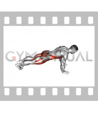 Knee To Elbow Touch Front Plank