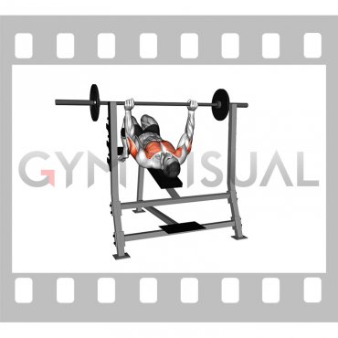 Barbell Pause Decline Bench Press
