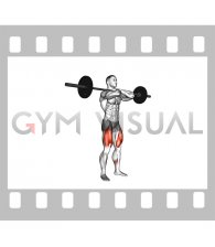 Barbell Pause Front Squat