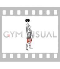 Single Arm Overhead Dumbbell Squat