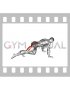 Kneeling Pulse (male)
