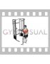 Cable Standing Close Grip Row
