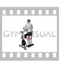 Lever Standing Single Leg Curl (plate loaded)