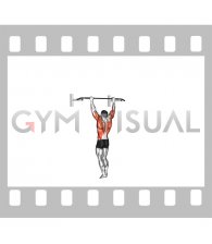Bodyweight Muscle-up (VERSION 2)