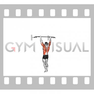 Bodyweight Muscle-up (VERSION 2)