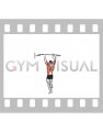 Bodyweight Muscle-up (VERSION 2)