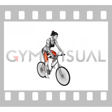 Riding Outdoor Bicycle (female)