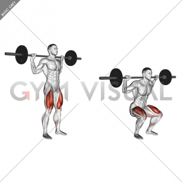Barbell Narrow Stance Squat