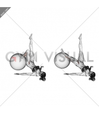 Single Leg Extension (on stability ball)