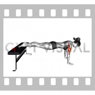 Decline Push-up (female)