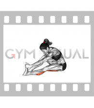 Seated Straight Leg Calf Stretch (female)