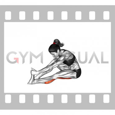 Seated Straight Leg Calf Stretch (female)