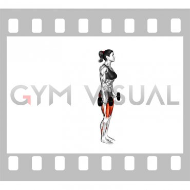 Dumbbell Rear Lunge (female)