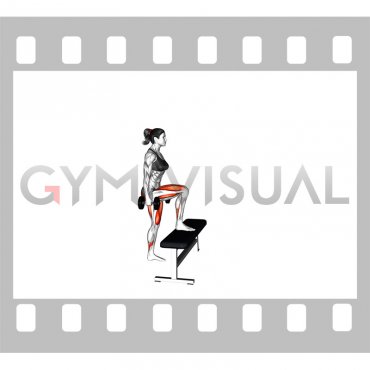 Dumbbell Step-up (female)