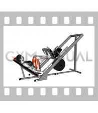 Sled 45 degrees Leg Press (female)