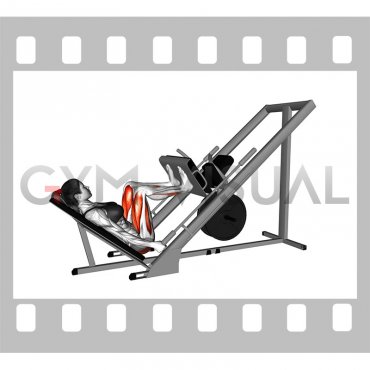 Sled 45 degrees Leg Press (female)