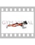 Front Plank with Arm and Leg Lift (female)