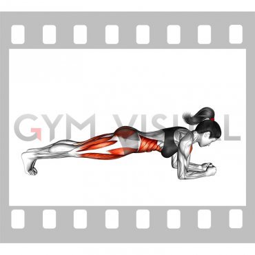 Front Plank with Leg Lift (female)