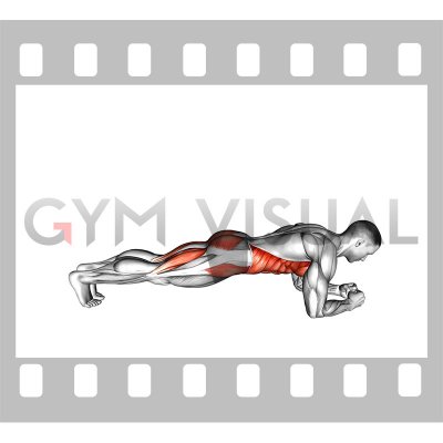 Front Plank with Leg Lift (male)