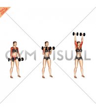 Dumbbell Curl to Press (female)