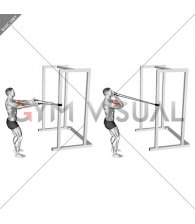 Band Horizontal Biceps Curl (male)