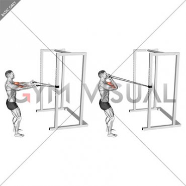 Band Horizontal Biceps Curl (male)