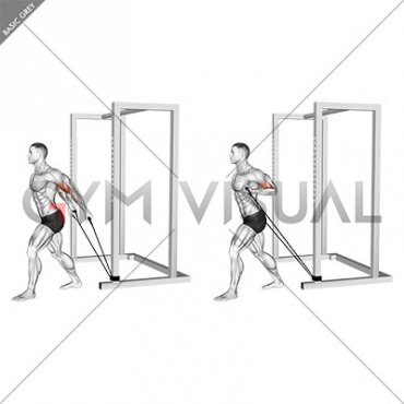 Band 45 degrees Biceps Curl (male)