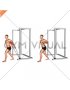 Band 45 degrees Biceps Curl (male)