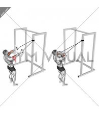 Band Cross Chest Biceps Curl (male)