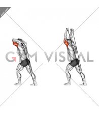 Band Overhead Triceps Extension (VERSION 2)