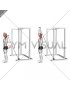 Band Overhead Single Arm Triceps Extension