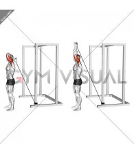 Band Overhead Triceps Extension (VERSION 2)